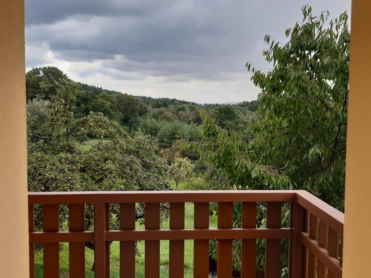 Apartmany U Zvonicky Prachov Exteriör bild